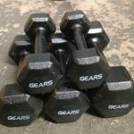Kit-Dumbbell-Iron-Gears-540×540 (1)