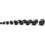 kit 1 a 10 dumbbells 4