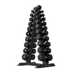 kit 1 a 10 dumbbells com suporte_