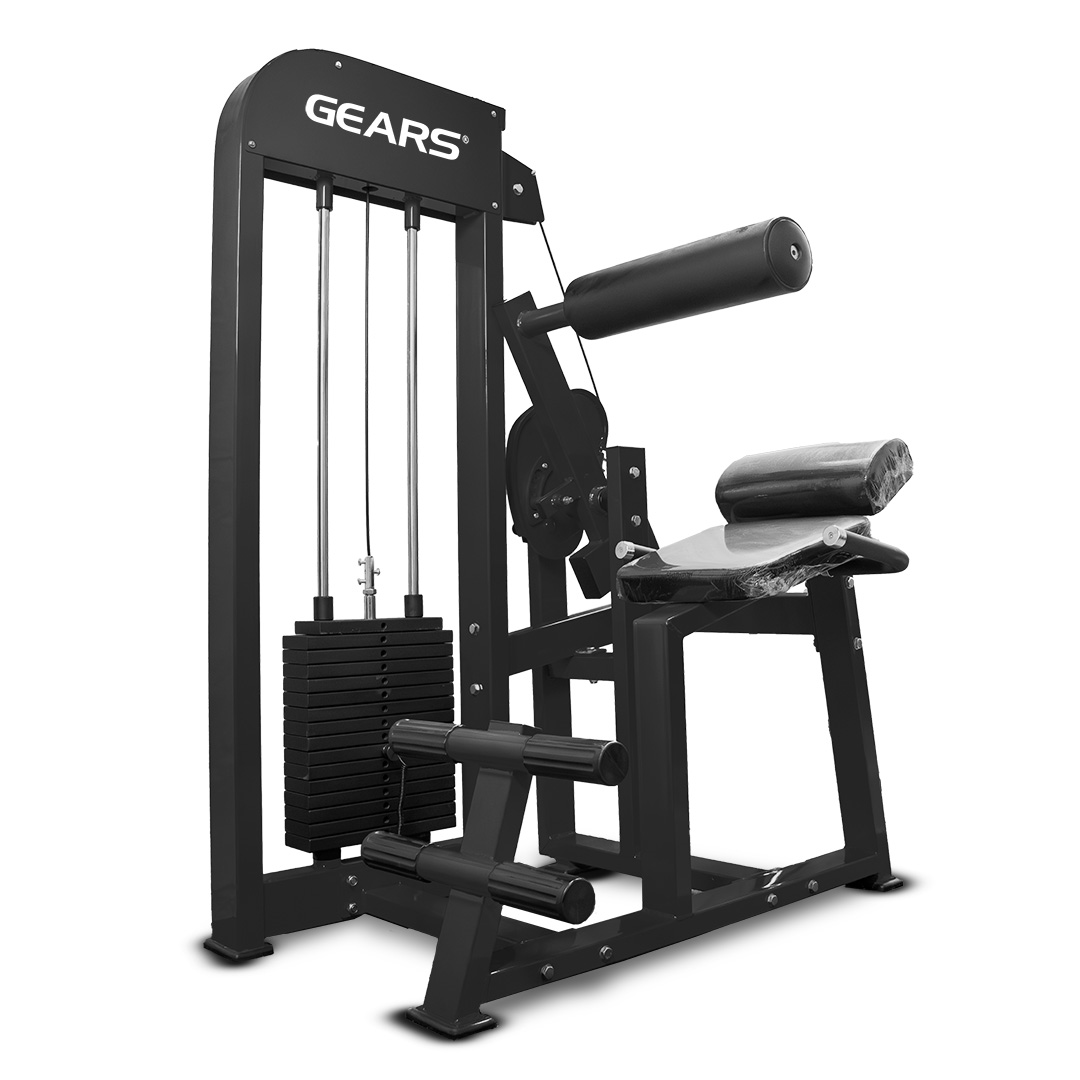 Banco Extensor Lombar Gears